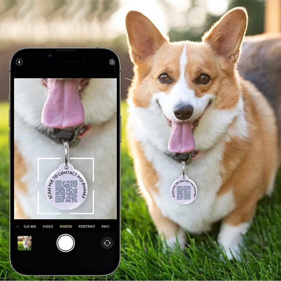 Happy Xmas Decorations QR Code Pet ID Tags - Dog Tag - Pet Online Profile White - Picture 6 of 7